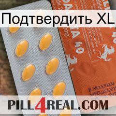 Подтвердить XL 43